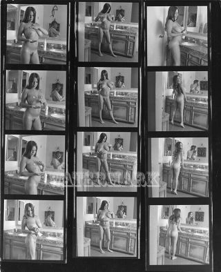 Linda Schmidt Vintage Nude Contact Sheet (10 " X 8 ")