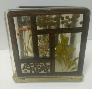 Vintage Resin Napkin Holder Lucite Acrylic Herbs Seeds Retro Clear