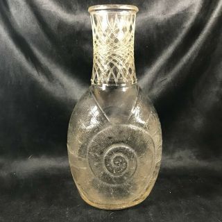 Rare Vintage Clear Glass Embossed Nautilus Shell 9” Bottle
