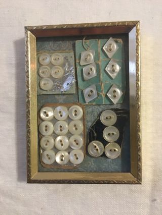 Old Mother Of Pearl Button In A Vintage Frame