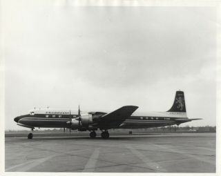 Large Vintage Photo - Caledonian Airways (pre Bcal) Dc - 7c G - Aoie