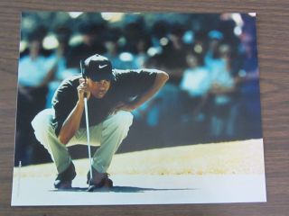 1997 Topps Tiger Woods 8 X 10 Photo 1996 Greater Milwaukee Open