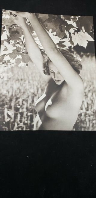 1940s Vintage Art Deco Female Nude Photogravure Vintage Antique Photo 10