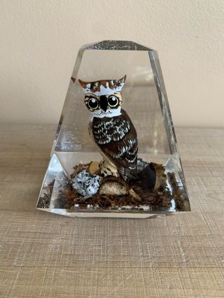 Vintage Acrylic Owl Paperweight,  Hand - Carved Painted Wood,  Made In Canada