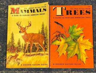 2 - Vintage A Golden Nature Guide,  Mammals & Trees