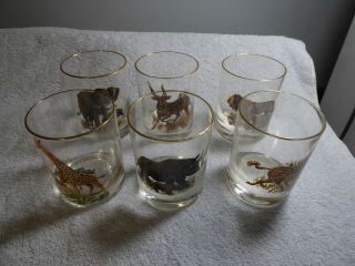 Set Of 6 Vintage High Ball Glasses Gold Rim Wild Animals