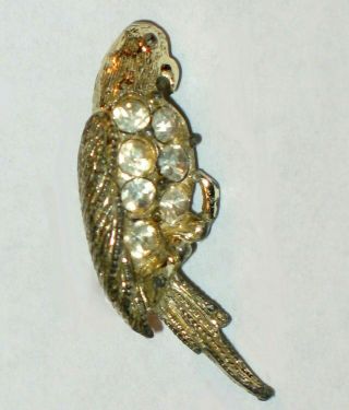 Vintage Miniature Rhinestone Parrot Tropical Bird Budgie Scatter Pin Brooch 1950