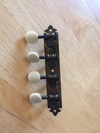 Vintage Waverly Mandolin Tuners Bass Side Raw Brass Iveroid Buttons