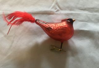 Vintage Mecury Glass Clip On Red Bird Cardinal Christmas Ornament Real Feathers