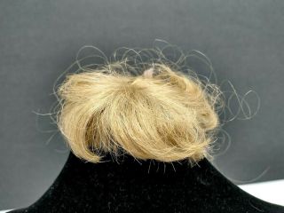 Vintage Doll Wig Blonde W/Ringlets & Bangs Size 8 Susan Wakeen Cherish Intl. 3