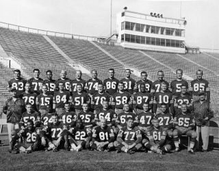 1961 Green Bay Packers Team Photo Hourning Tayler Starr And More 8x10