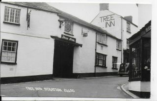 Early Rare Vintage Postcard,  The Tree Inn,  Stratton,  Bude,  Cornwall,  Rp