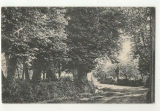 Shepreth Cambridgeshire Vintage Postcard 228c