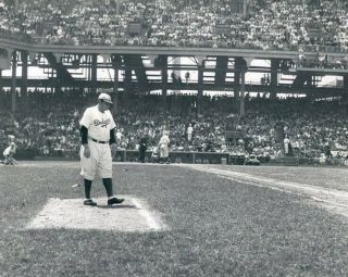 Babe Ruth - 8 " X 10 " Photo - 1938 - Brooklyn Dodgers - York - Ebbets Field