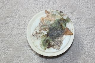 Vintage Round Large Metal Flower Frog Green Pin Spike 3 1/4 