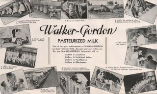 Walker - Gordon Farm Pasteurized Milk Vintage Advertising Brochure