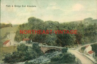 Northumberland Vintage Postcard Path And Bridge End Allendale C.  1904