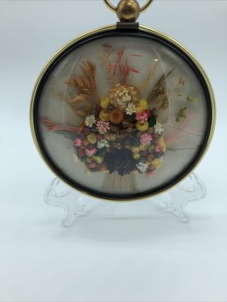 Vintage Convex Dome With Flowers - Bubble Frame With Dried Flowers - Belgium
