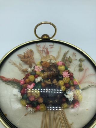 Vintage Convex Dome with Flowers - Bubble Frame with Dried Flowers - Belgium 2
