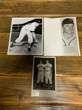 Billy Muffett Press Photos (3) The Sporting News St.  Louis Cardinals Red Sox