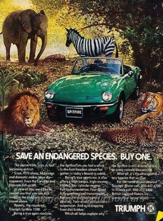 1977 Triumph Spitfire Lion Tiger Zebra Advertisement Print Art Car Ad J826