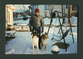 Man W/ Pet Collie Dogs Vintage Color Photo 455133