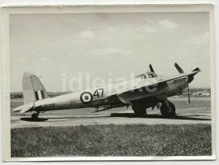 Raf Mosquito Aircraft Rs209 Vintage Photo