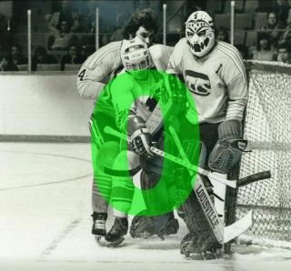 Wha Toronto Toros Vs Chicago Cougars Dave Dryden Goal Mouth Reprint Hockey Photo