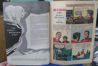 vintage Zane Grey ' s King of the Royal Mounted Comic 1956 22 Dell FN/VF 3