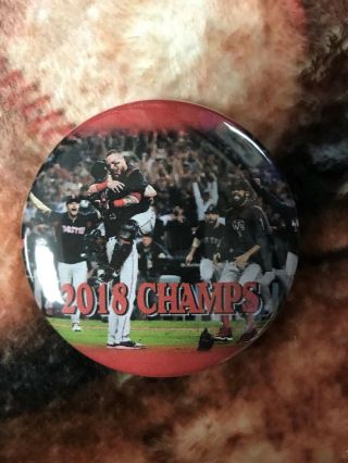 2018 Boston Red Sox Magnet - World Series Champions - Baseball Celebration Photo