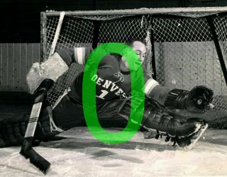 Denver University Goalie Reprint Media Photo Hockey
