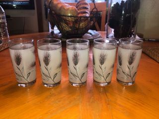 Vintage MCM Libbey Glass Co 5 Silver Leaf / Wheat Frosted Juice Glasses 5 Ounce 2