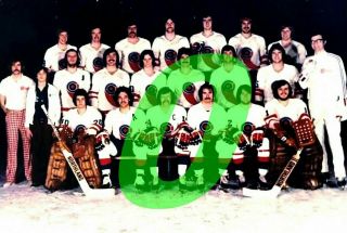1975 - 76 Nahl Mohawk Valley Comets Home White Uni Reprint Hockey Team Photo
