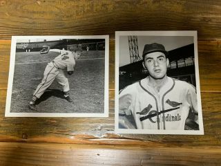 Henry Koch 8x10 Photos (2) The Sporting News Tsn St.  Louis Cardinals