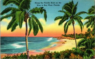 Vtg Linen Postcard - Along The Florida Keys On The Way To Key West,  Florida Fl