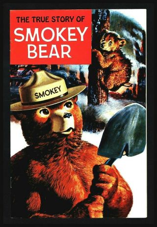 Vintage 1969 " The True Story Of Smokey Bear " Comic Book