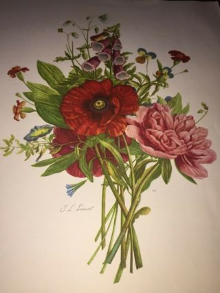 Vintage Flower Floral Art Print French Jean Louis JL Prevost,  Sydney Z Lucas 2