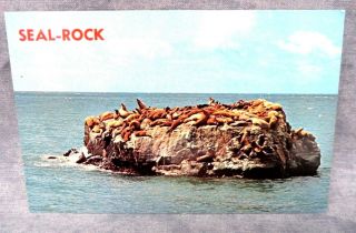 Vintage California - Seal - Rock - Santa Cruz - Don Mar  E524 2
