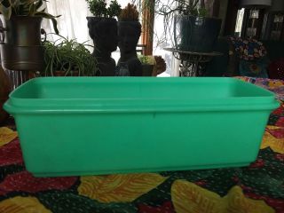 Vintage Tupperware Green Celery Keeper Crisper Container.  NO LID.  892 - 8 2