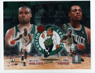 Boston Celtics Paul Piece Antoine Walker 8x10 Photo Ed Hologram