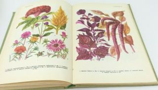 Soviet Book Ornamental Plants Ussr 1986 Vintage Book Of The Ussr Illustrations