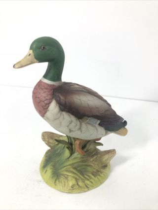 Vintage Mallard Duck Figurine Andrea By Sadek Japan 6721 Porcelain Wild Bird