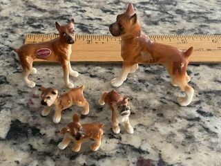 Boxer Vintage Bone China Dogs Figurines Set Of 5