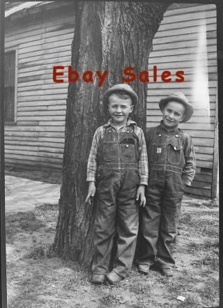 Ab Dd Vintage Photo Negative - Little Boys Standing By Tree - Hats