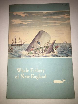 Vtg Whale Fishery Of England Illustrated Whaling History Anecdotes 1968