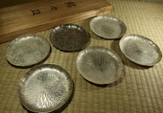 Small Metal Plates With Case / Set Of 6 / Japanese / Vintage