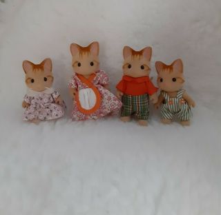 Rare Vintage Retired Sylvanian Families Calico Critters Beaman Ginger Cat Family
