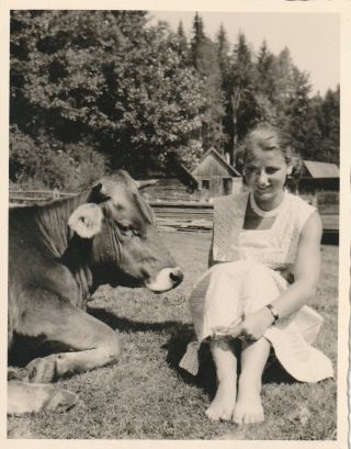 Vintage Foto Hübsche Blonde Mädchen Im Sommerkleid Mit Kuh
