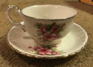 Grindley England Cream Petal Vintage Teacup And Saucer Dogwood Floral