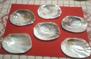 Vintage ♡set Of 6 Large Polished Oyster Shell Mother Of Pearl Appetizer Dishes